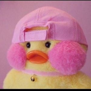 Meet your Posher, Lala